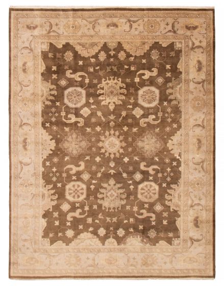 Traditional  Transitional Brown Area rug 9x12 Indian Hand-knotted 391964