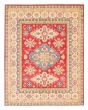 Bordered  Traditional Red Area rug 6x9 Afghan Hand-knotted 376563
