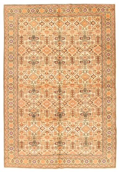 Bordered  Traditional Ivory Area rug 6x9 Turkish Hand-knotted 347564