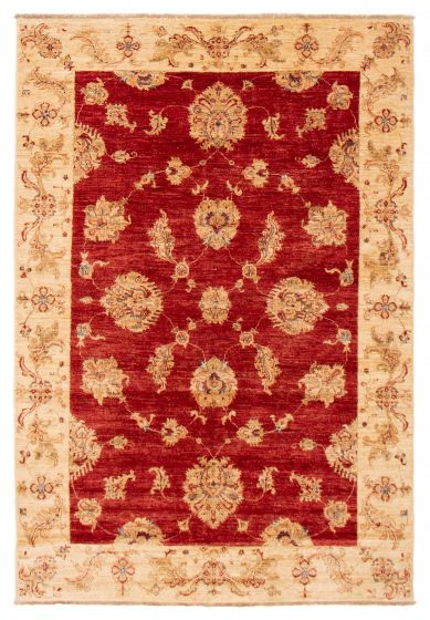 Traditional  Transitional Red Area rug 5x8 Afghan Hand-knotted 392832