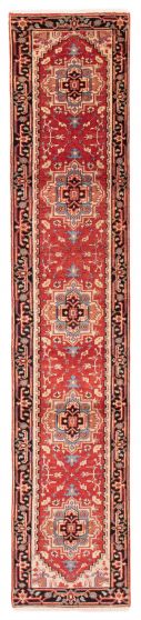 Bordered  Traditional Brown Runner rug 13-ft-runner Indian Hand-knotted 377770