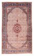 Bordered  Traditional Ivory Area rug Unique Persian Hand-knotted 382650