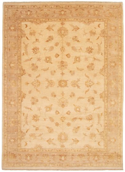 Bordered  Traditional Ivory Area rug 8x10 Pakistani Hand-knotted 330761