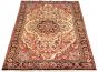 Bordered  Traditional Ivory Area rug 5x8 Persian Hand-knotted 290565