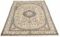 Bordered Traditional Ivory Area rug 6x9 Persian Hand-knotted 310619