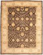 Bordered  Traditional Brown Area rug Unique Pakistani Hand-knotted 339175