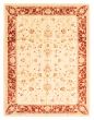 Bordered  Traditional Ivory Area rug 9x12 Pakistani Hand-knotted 362962