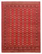 Bordered  Traditional Red Area rug 6x9 Pakistani Hand-knotted 363282