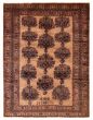 Bordered  Tribal Brown Area rug 6x9 Afghan Hand-knotted 392828