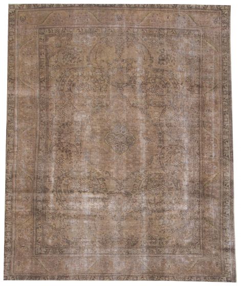 Bordered  Transitional Ivory Area rug 8x10 Turkish Hand-knotted 374092