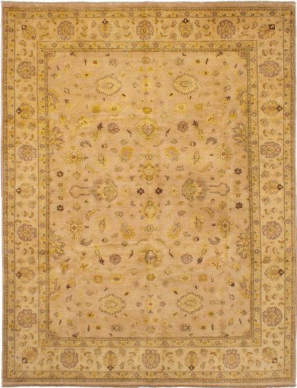 Bohemian  Traditional Brown Area rug 9x12 Indian Hand-knotted 268842
