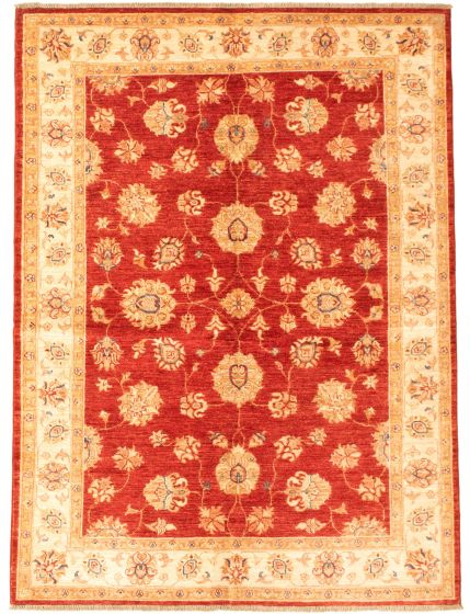 Bordered  Traditional Red Area rug 4x6 Afghan Hand-knotted 346730