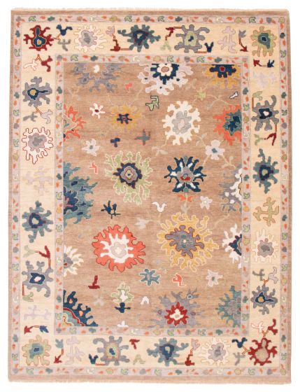 Bordered  Transitional Brown Area rug 9x12 Indian Hand-knotted 377450