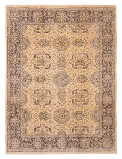 Transitional Ivory Area rug 6x9 Pakistani Hand-knotted 389950