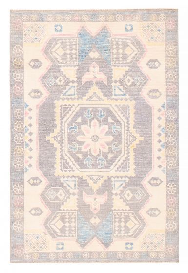 Bordered  Transitional Grey Area rug 3x5 Pakistani Hand-knotted 382184
