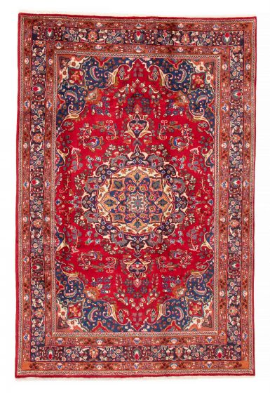 Bordered  Traditional Red Area rug 6x9 Persian Hand-knotted 383534