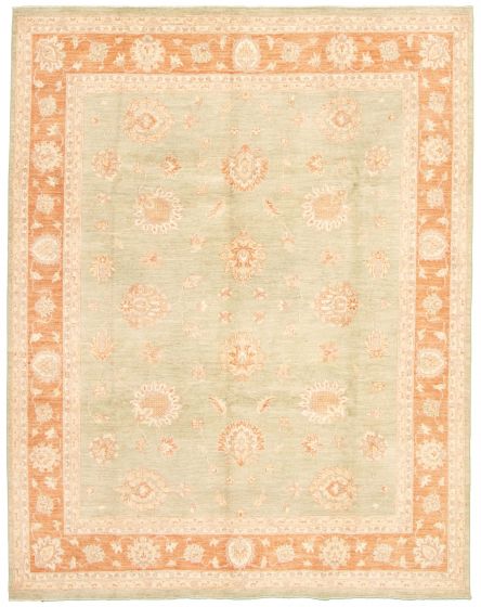 Bordered  Traditional Green Area rug 6x9 Pakistani Hand-knotted 330813