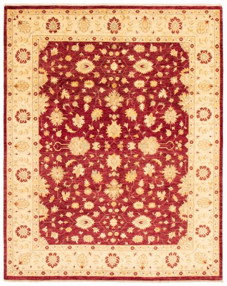 Bordered  Traditional Red Area rug 6x9 Pakistani Hand-knotted 362505