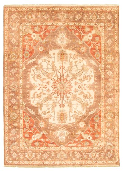 Bordered  Traditional Brown Area rug 8x10 Indian Hand-knotted 344296