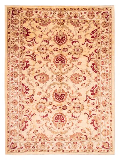 Bordered  Traditional Ivory Area rug 9x12 Afghan Hand-knotted 378692