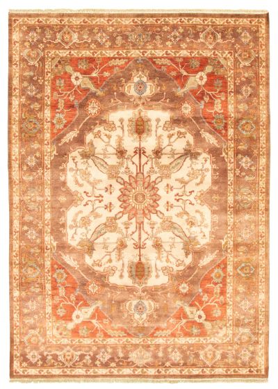 Bordered  Traditional Brown Area rug 8x10 Indian Hand-knotted 344290