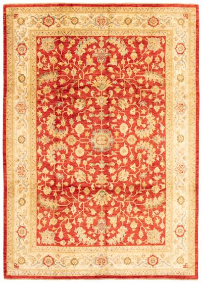 Bordered  Traditional Red Area rug 9x12 Afghan Hand-knotted 362451