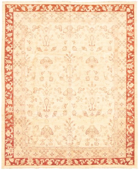 Bordered  Traditional Ivory Area rug 6x9 Afghan Hand-knotted 318313