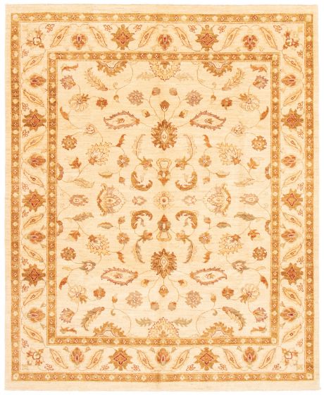 Bordered  Traditional Ivory Area rug 6x9 Pakistani Hand-knotted 362501