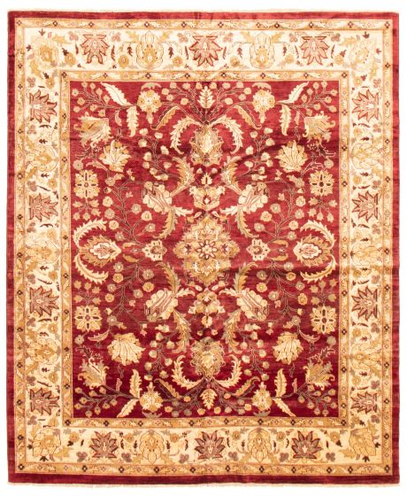 Bordered  Traditional Red Area rug 6x9 Afghan Hand-knotted 369318