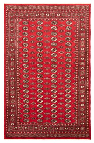 Bordered  Traditional Red Area rug 6x9 Pakistani Hand-knotted 364222
