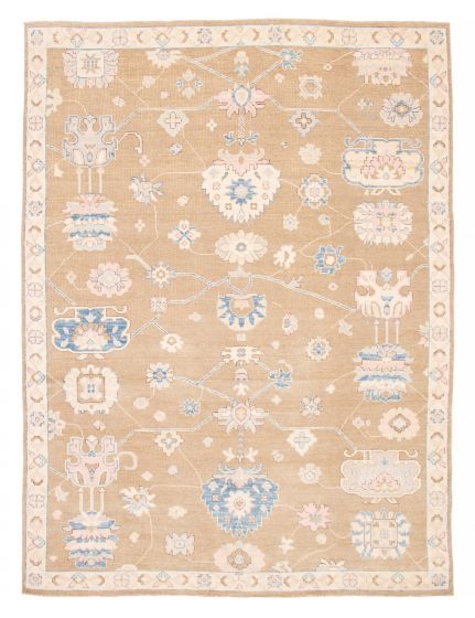 Bordered  Transitional Ivory Area rug 9x12 Pakistani Hand-knotted 381791