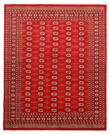 Bordered  Traditional Red Area rug 6x9 Pakistani Hand-knotted 363285