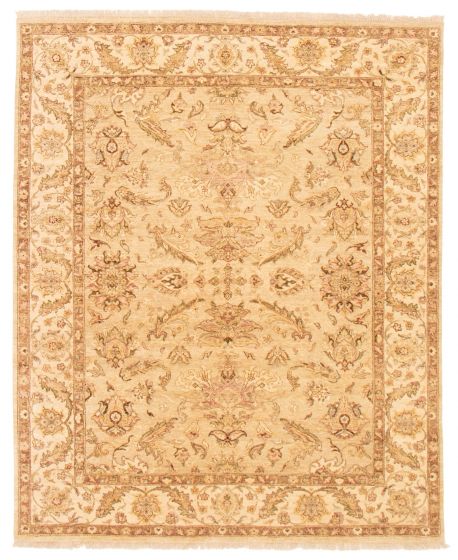 Bordered  Traditional Ivory Area rug 6x9 Indian Hand-knotted 368625