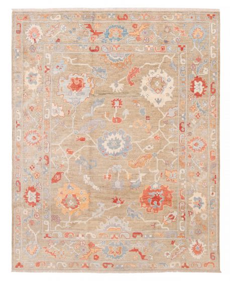 Transitional Ivory Area rug 6x9 Pakistani Hand-knotted 390258