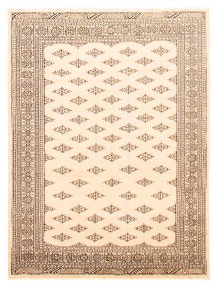 Bordered  Traditional Ivory Area rug 6x9 Pakistani Hand-knotted 364196