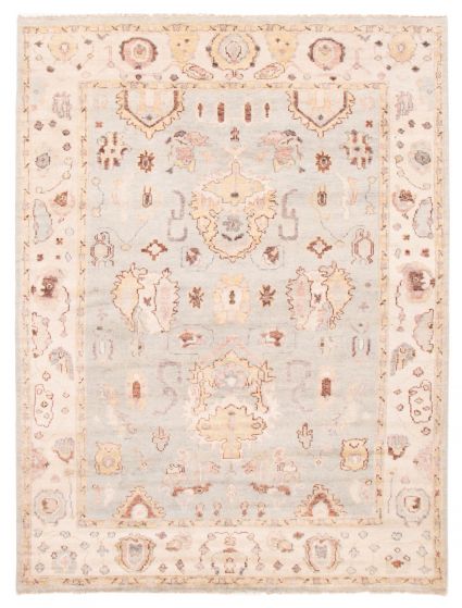 Bordered  Traditional Grey Area rug 9x12 Indian Hand-knotted 377656