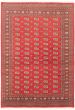 Bordered  Tribal Red Area rug 5x8 Pakistani Hand-knotted 305966