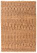 Flat-weaves & Kilims  Tribal Brown Area rug 5x8 Indian Flat-Weave 349029