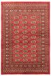 Bordered  Tribal Red Area rug 3x5 Pakistani Hand-knotted 359416