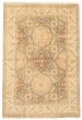 Bordered  Traditional Grey Area rug 5x8 Indian Hand-knotted 370427