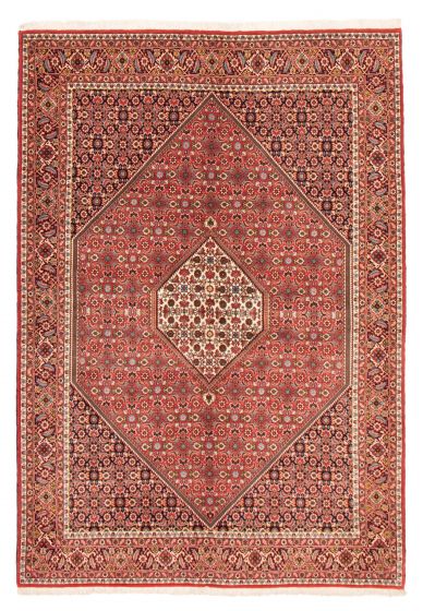 Bordered  Traditional Red Area rug 6x9 Persian Hand-knotted 373300