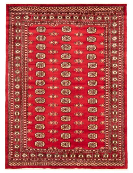 Bordered  Traditional Red Area rug 5x8 Pakistani Hand-knotted 364248