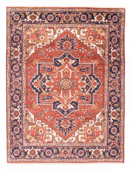 Bordered  Traditional Brown Area rug 6x9 Indian Hand-knotted 377477