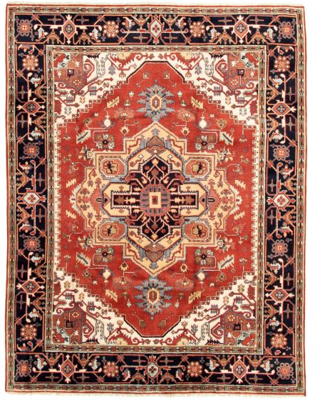Bordered  Traditional Brown Area rug 6x9 Indian Hand-knotted 332033