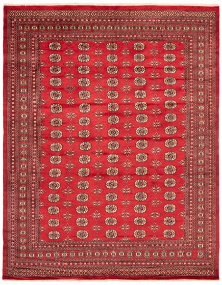Bordered  Traditional Red Area rug 6x9 Pakistani Hand-knotted 363523