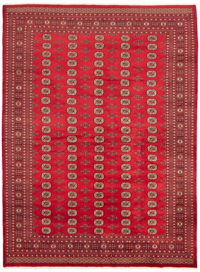 Bordered  Tribal Red Area rug 9x12 Pakistani Hand-knotted 328644