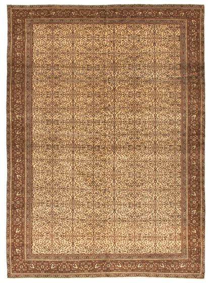 Bordered  Traditional Ivory Area rug 6x9 Turkish Hand-knotted 347519