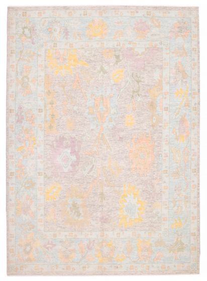 Bordered  Transitional Grey Area rug 10x14 Indian Hand-knotted 387523