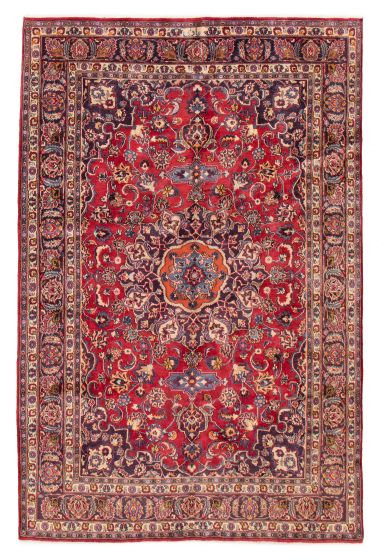 Bordered  Traditional Red Area rug 6x9 Persian Hand-knotted 385746