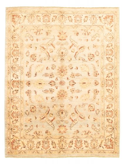 Bordered  Traditional Grey Area rug 6x9 Indian Hand-knotted 318862